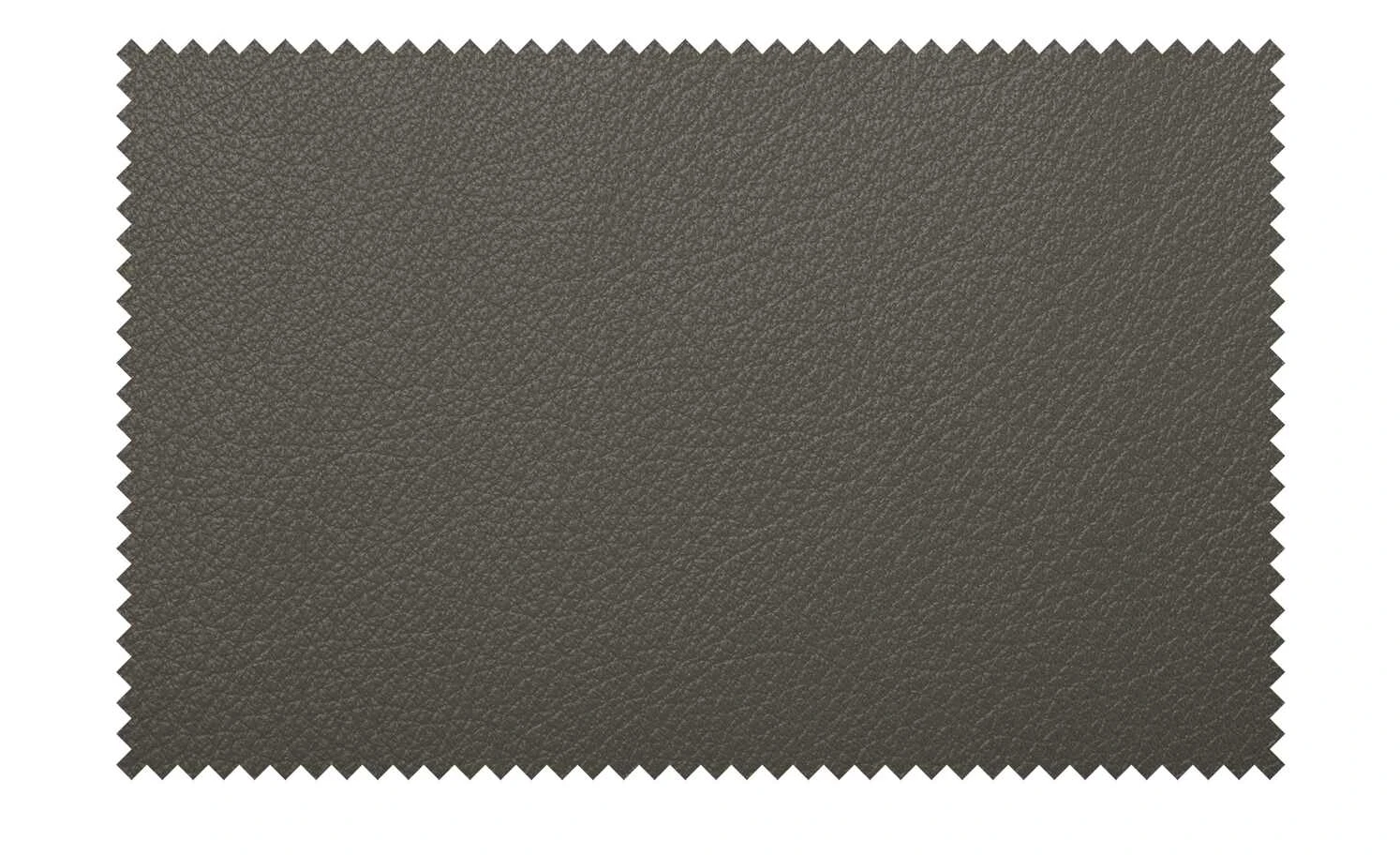 himolla Ledersofa 2253 | Schlamm (Grau-Braun) 8 himolla Ledersofa 2253 | Schlamm (Grau-Braun) – Bild 6