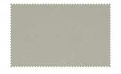 meinSofa Ledersofa Manon | Platingrau 2 ohne -Sofas Verkaufsladen 22404830 7 201904302040