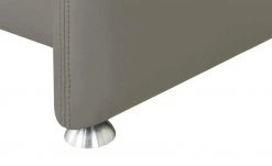 meinSofa Ledersofa Manon | Grau 2 ohne -Sofas Verkaufsladen 22404831 8 201811271548