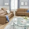 himolla Ledersofa 1501 | Bambus (Beige) Grundfunktion 2,5 2 himolla Ledersofa 1501 | Bambus (Beige) Grundfunktion 2,5 -Sofas Verkaufsladen 25405450 8 202001152239