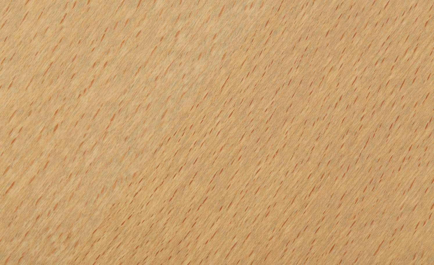 himolla Trapezsofa 4010 | Schwarz Grundfunktion 16 himolla Trapezsofa 4010 | Schwarz Grundfunktion – Bild 14