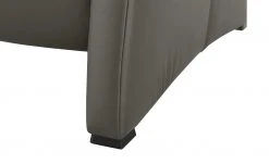 himolla Ledersofa 4978 | Schlamm (Grau-Braun) 15 himolla Ledersofa 4978 | Schlamm (Grau-Braun) -Sofas Verkaufsladen 26408978 6 202012231314