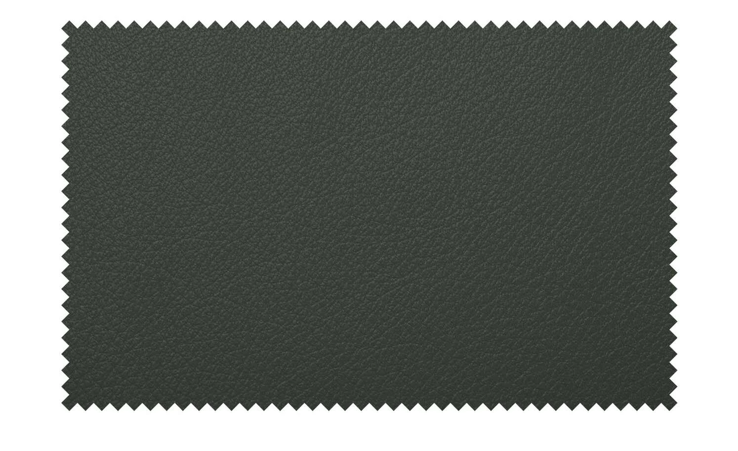 himolla Ledersofa 2253 | Alge (Dunkelgrün) 4 himolla Ledersofa 2253 | Alge (Dunkelgrün) – Bild 2