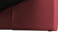 Ledersofa, hoch Boavista | Ferrari (Rot) -Sofas Verkaufsladen 27400702 7 202011302238