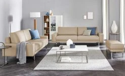 hülsta Sofa Sofabank aus Leder HS 450 | Beige 220|cm