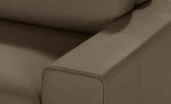 hülsta Sofa Sofabank aus Leder HS 450 | Beigegrau 220|cm -Sofas Verkaufsladen 27402035 4 202101042356