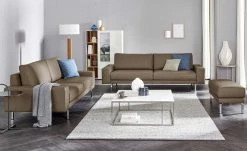 hülsta Sofa Sofabank aus Leder HS 450 | Beigegrau 220|cm