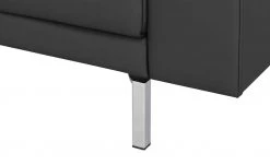 hülsta Sofa Sofabank aus Leder HS 450 | Signalschwarz 220|cm -Sofas Verkaufsladen 27402047 3 202101042356