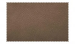 Wohnwert Ledersofa Carisma | Chai (Hellbraun) Grundfunktion -Sofas Verkaufsladen 27409140 6 202107212232