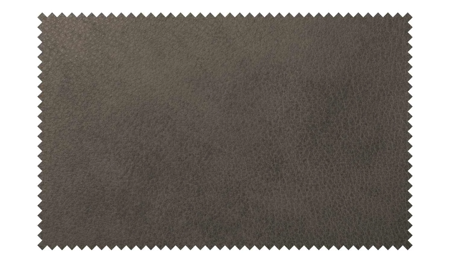 himolla Ledersofa 1926 | Dunkelbraun Grundfunktion 5 himolla Ledersofa 1926 | Dunkelbraun Grundfunktion – Bild 3