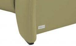 Wohnwert Ledersofa Halina | Hellgrün -Sofas Verkaufsladen 28407470 5 202203171234