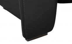 Wohnwert Ledersofa Halina | Schwarz ohne 15 Wohnwert Ledersofa Halina | Schwarz ohne -Sofas Verkaufsladen 28407492 5 202203171234