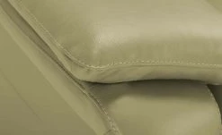 Wohnwert Ledersofa Halina | Hellgrün ohne -Sofas Verkaufsladen 28407494 9 202203171234